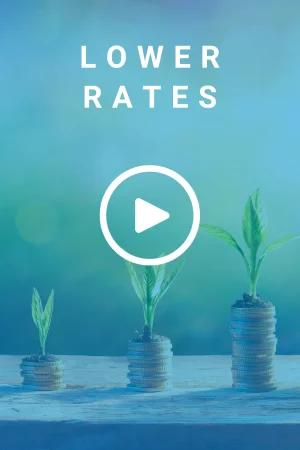 Three stacks of coins arranged from left to right, each stack progressively taller. Atop each stack, a small green seedling is sprouting, symbolizing growth. There is a text overlay that reads 'Lower Rates'.